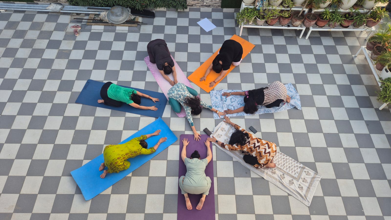 Outdoor group yoga session